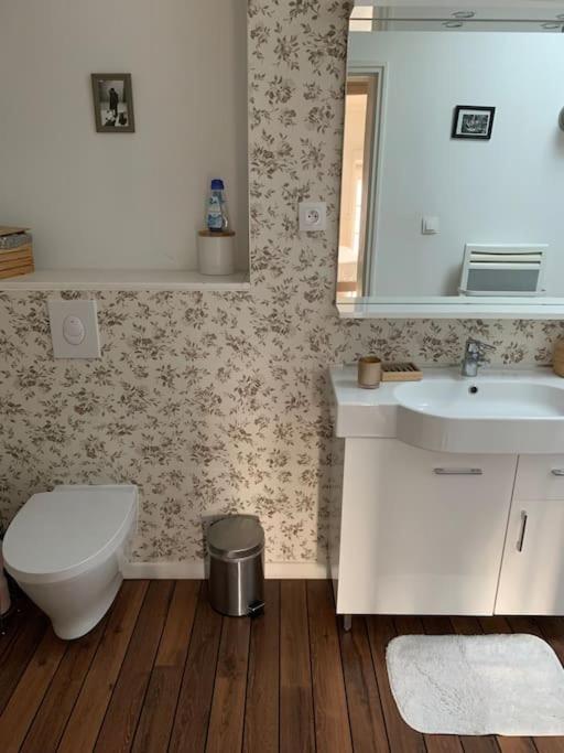 Appartement Duplexcoeur De Ville Мец Экстерьер фото